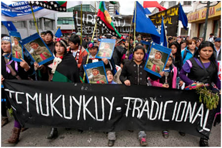 Manifestación mapuche